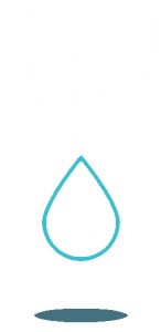 Nataya Beauty bunny logo manchester cit centre vegan salon